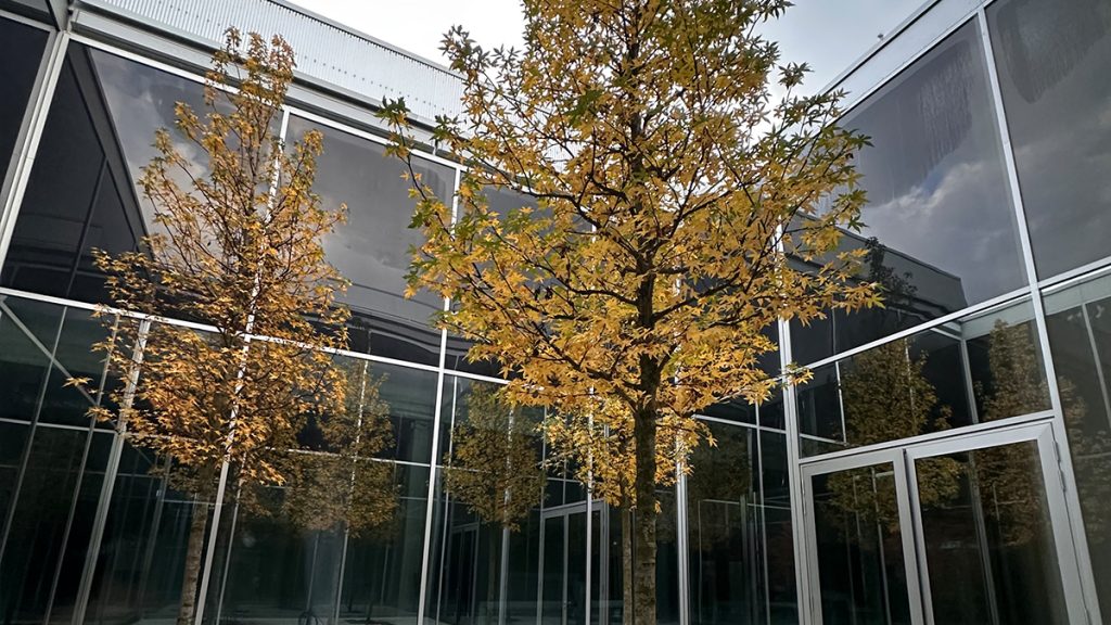 241021_INOCLAD_Balluf_027_quer